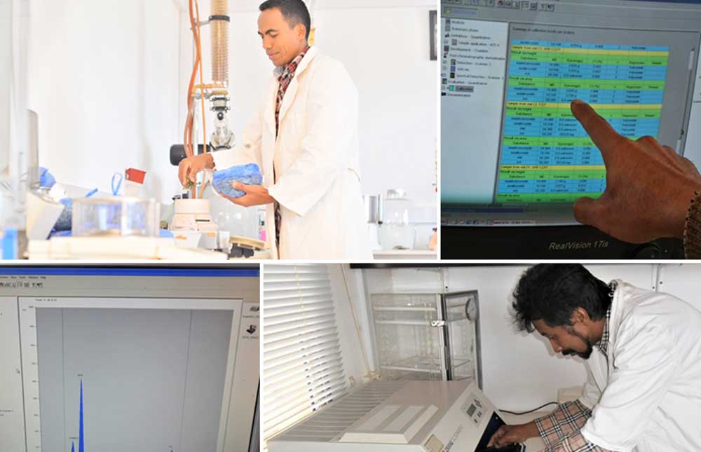 Active-ingredient-content-analysis-of-Centella-asiatica-dried-leaves-in-the-SOTRAMEX-laboratory