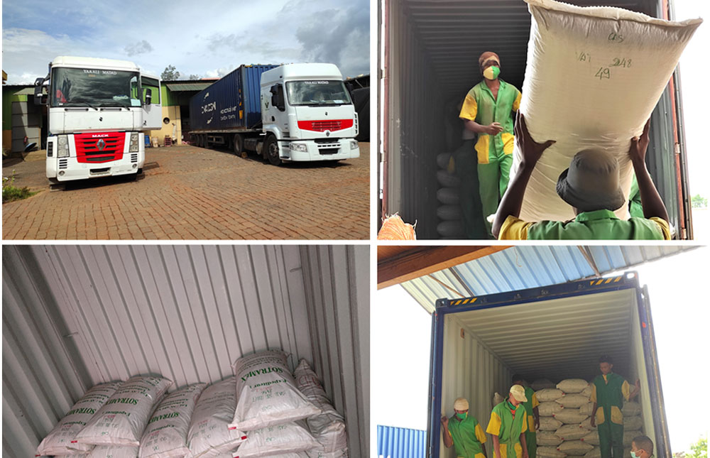 Loading-containers-of-Centella-asiatica-dried-leaves-at-the-SOTRAMEX-Central-Site.