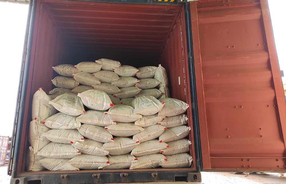 A-container-loaded-with-bags-of-Centella-asiatica-dried-leaves-ready-to-be-exported