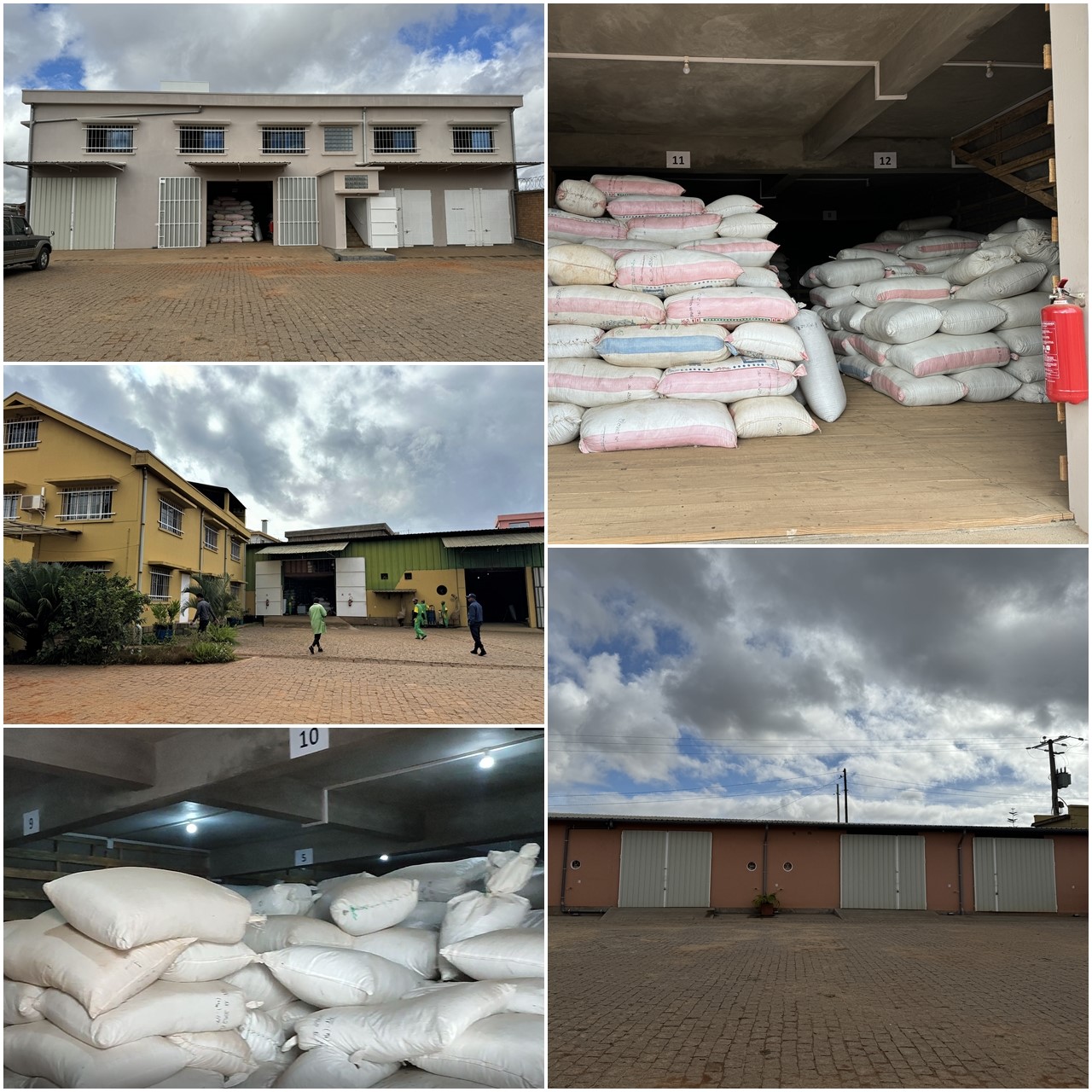 Storage-of-gotu-kola-dried leaves-from-the-different-sites-in-the-warehouses-of-the-SOTRAMEX-Central-site.